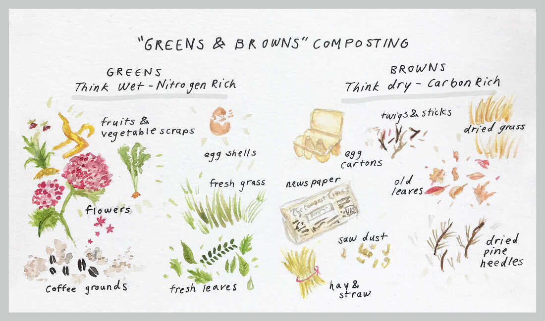 When composting at home, you need the right mix of "greens" and "browns" — what counts as green material and brown material is showed in this illustration.