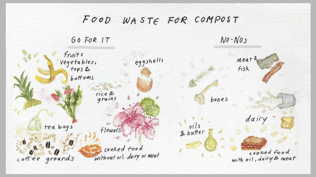 The food scraps you can and can't include in your home compost.