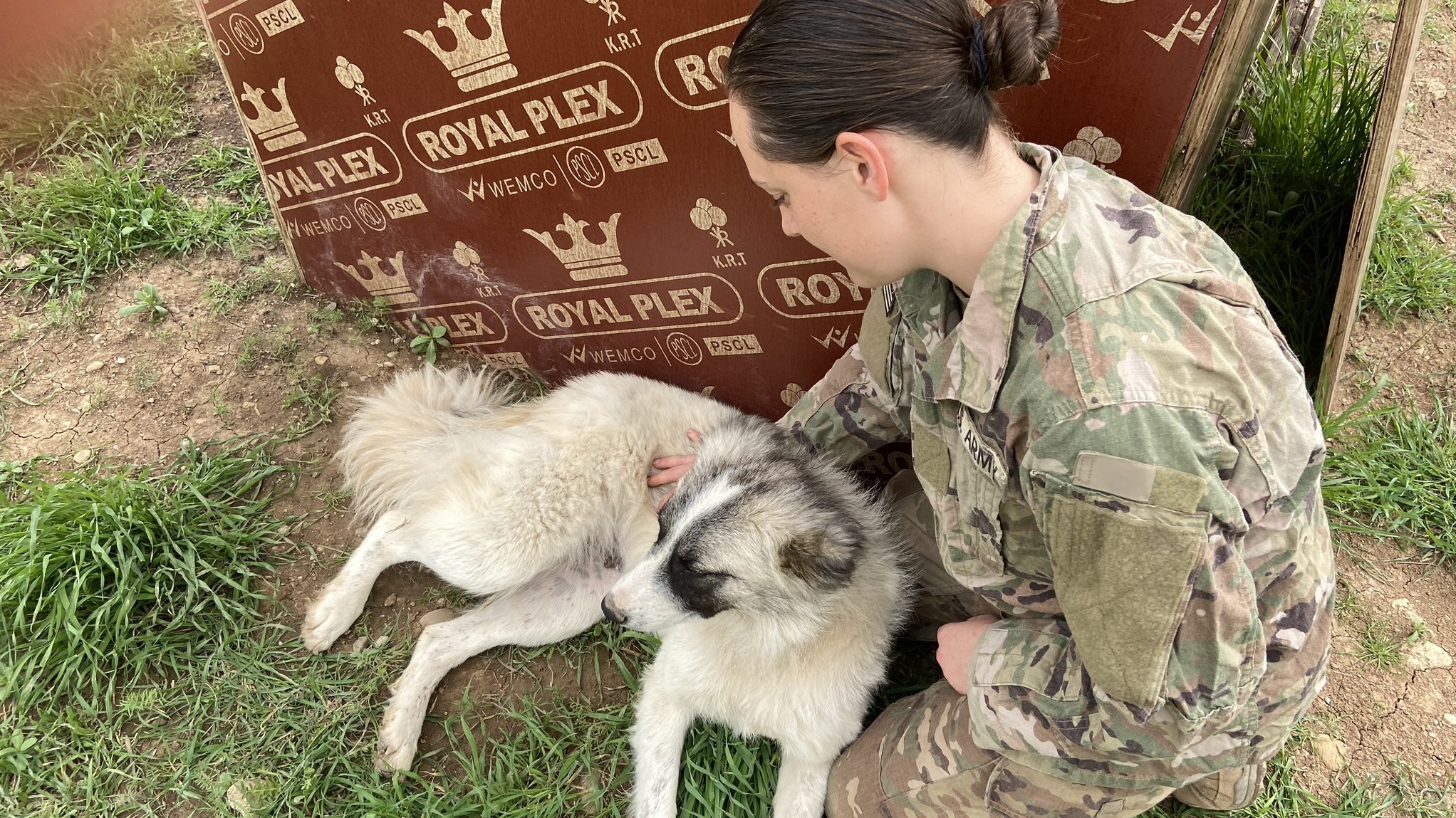 1st Lt. Shelby Koontz and Rumi meet after her overnight shift ends. They sit for a scratch session next to the dog house that the soldiers built for Rumi on base.