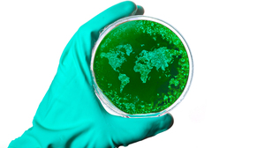 Inoculation : TED Radio Hour : NPR