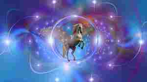 Unicorn Riding Scooter In Fatal Crash