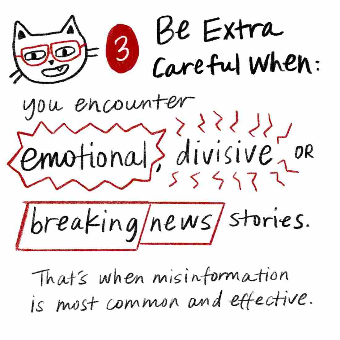 Tip 3: Be extra careful when you encounter emotional, divisive or breaking news stories. That's when misinformation is most common and effective.