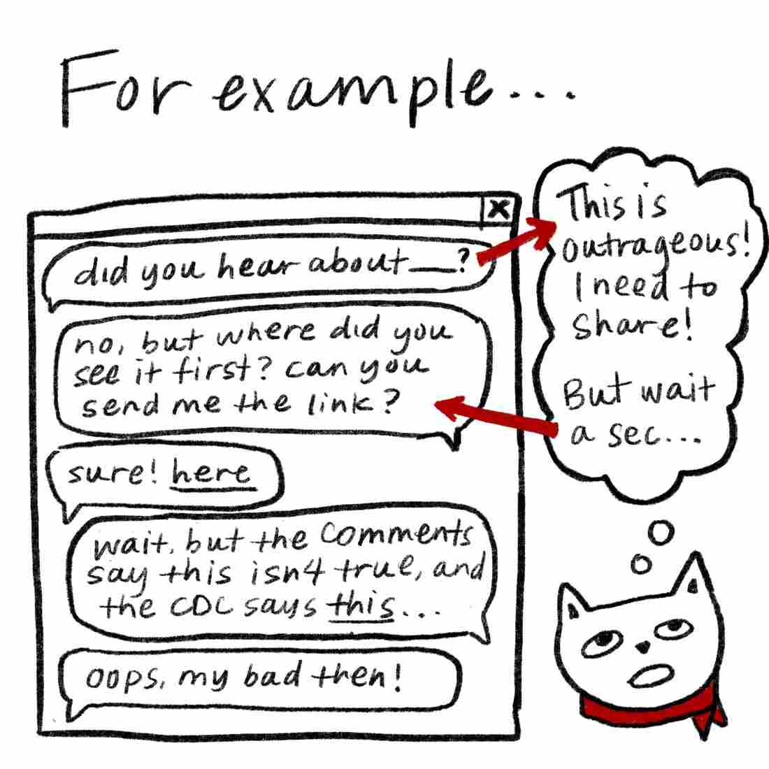 A chat conversation is depicted where someone sends a link to misinformation. Bandanna Cat reads the link, gets emotional and wants to share the link, but remembers to take a moment to check. After checking, they tell the other person that the link directly contradicts the CDC's instructions.
