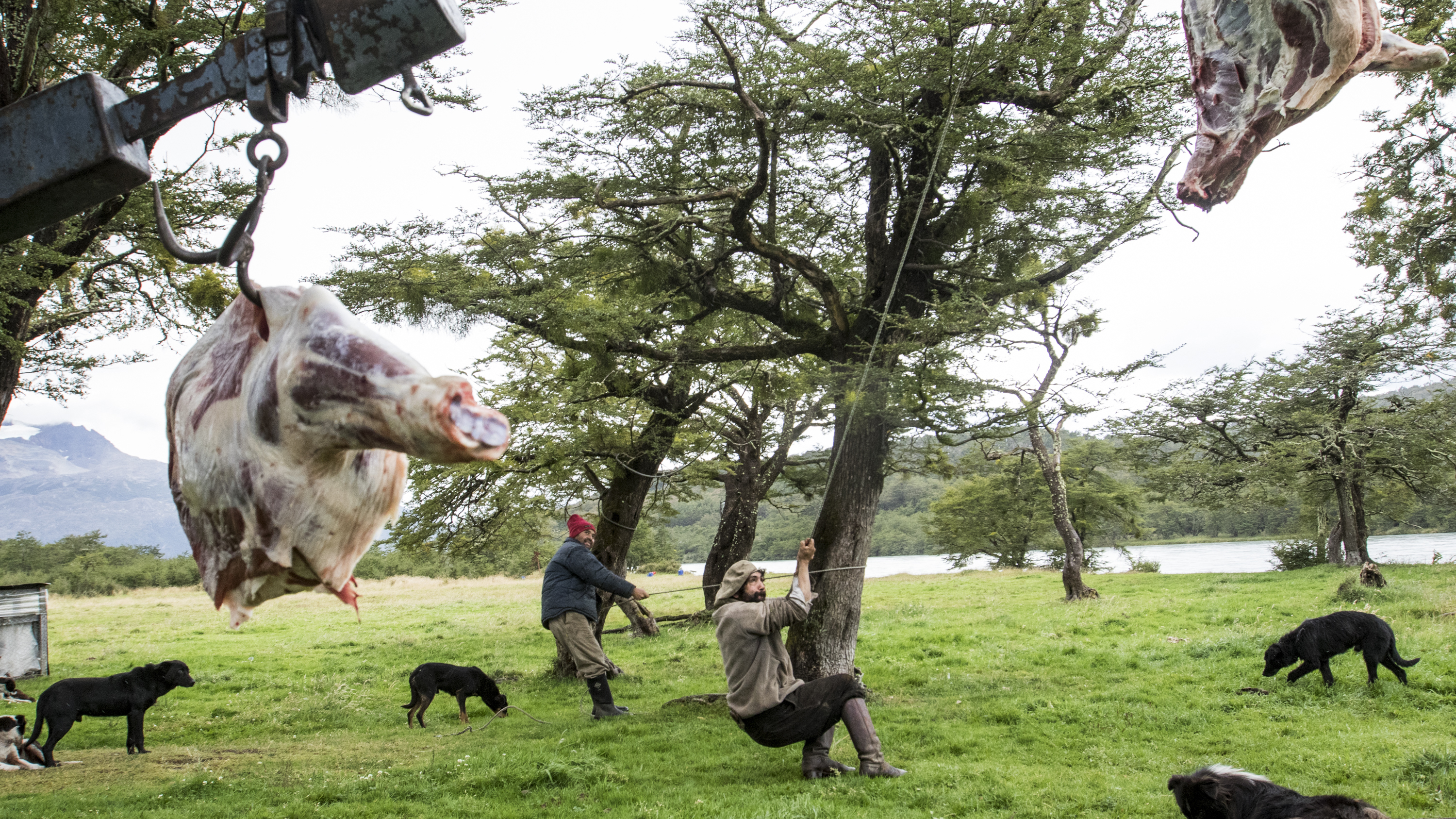 Photographer In Chilean Patagonia Faces Increased Isolation Due To