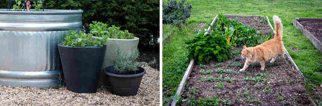 You can start a garden in pots or containers, or you can build beds. The decision depends on your preferences, space, what you're growing and your budget.