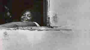 A Collection Of 'Window Views' Takes On New Meaning During The Coronavirus Crisis