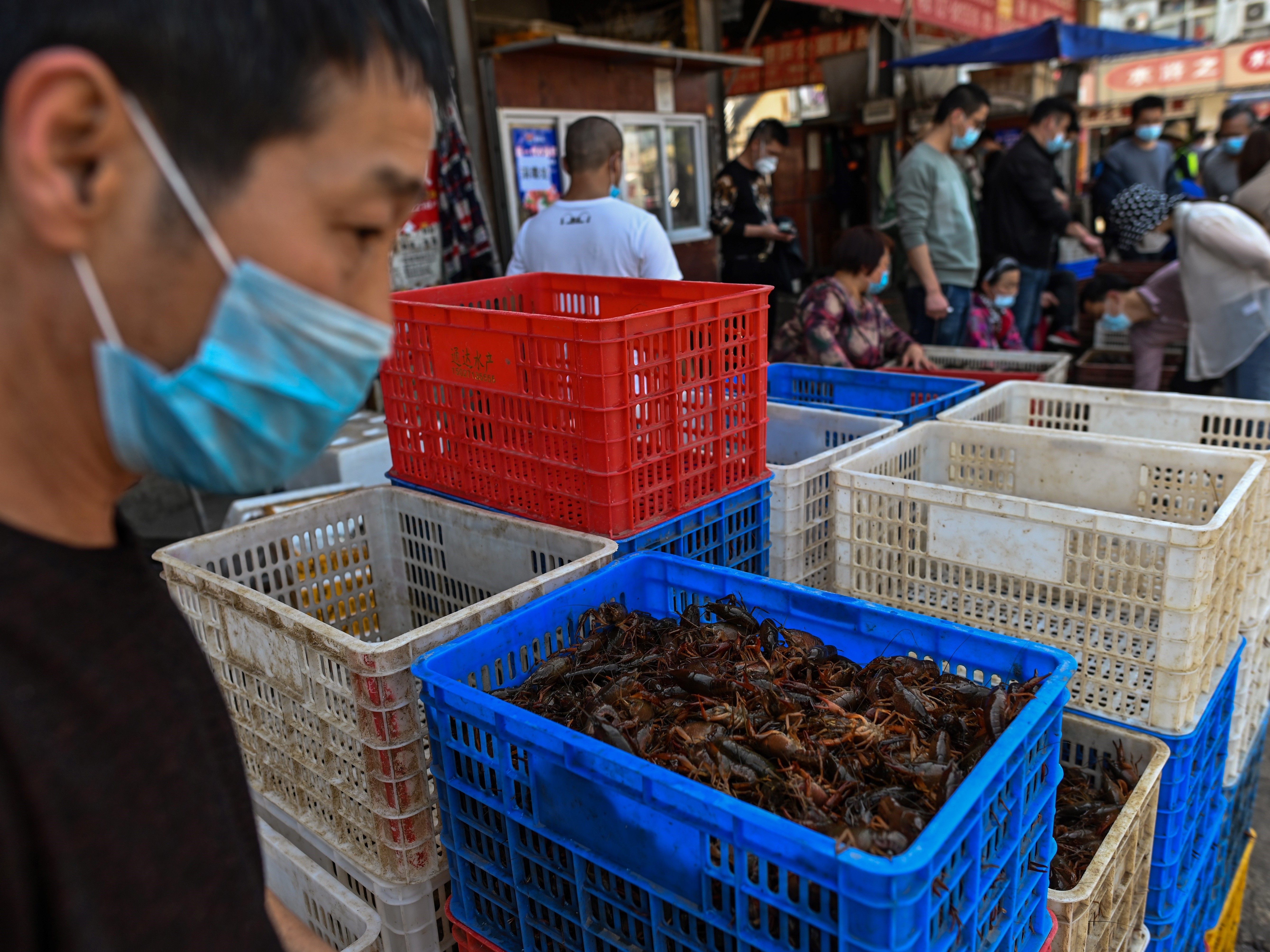 The Wuhan Baishazhou Market in Wuhan in China's Hubei province, shown last week. China's wet markets have come in for criticism after one was identified as the likely source of the novel coronavirus. (AFP via Getty Images)