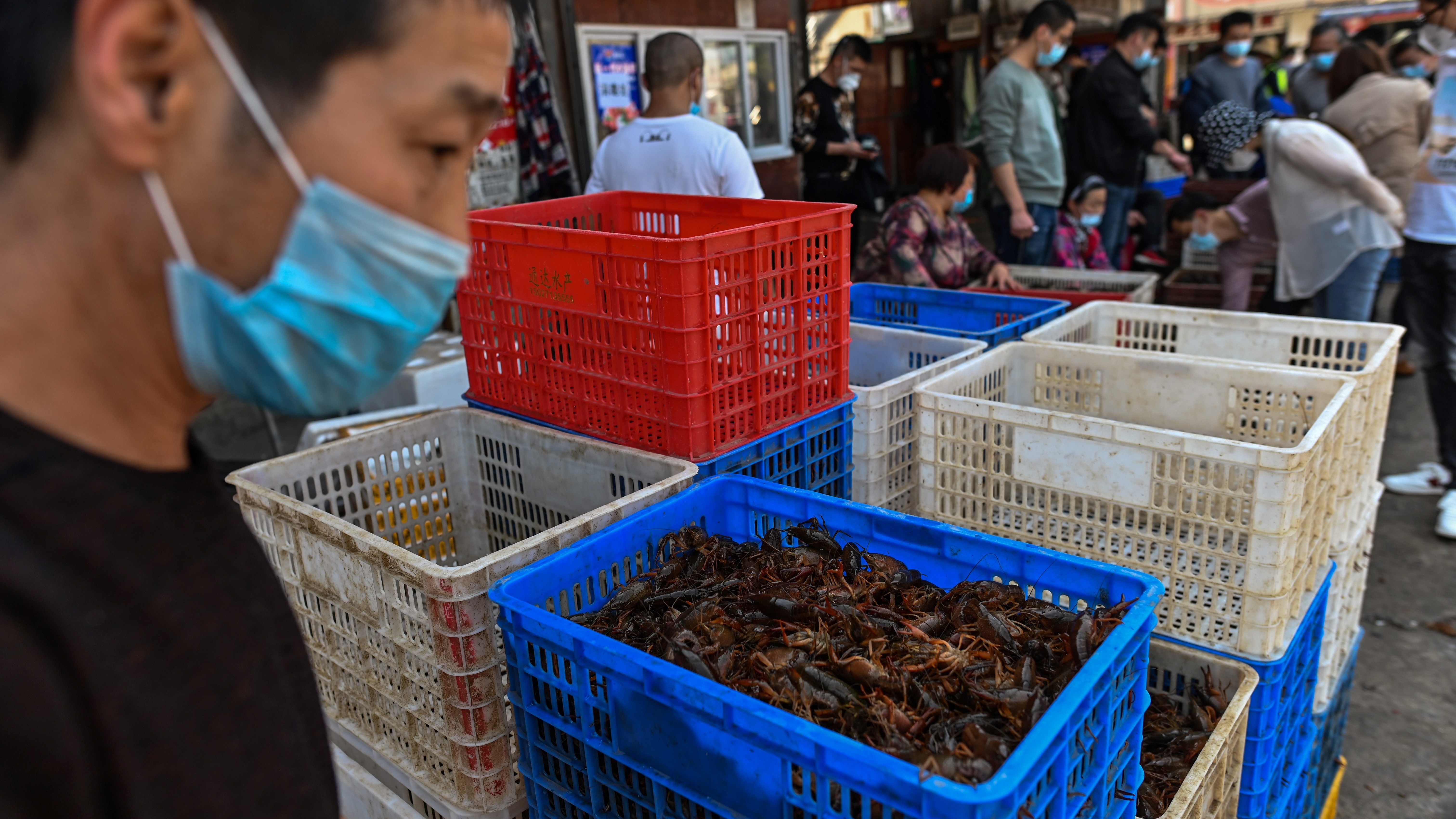 The Wuhan Baishazhou Market in Wuhan in China