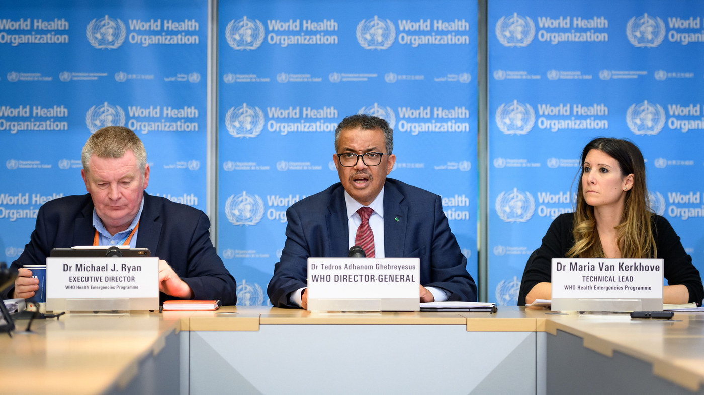 Explainer: What Does The World Health Organization Do? : Goats and ...