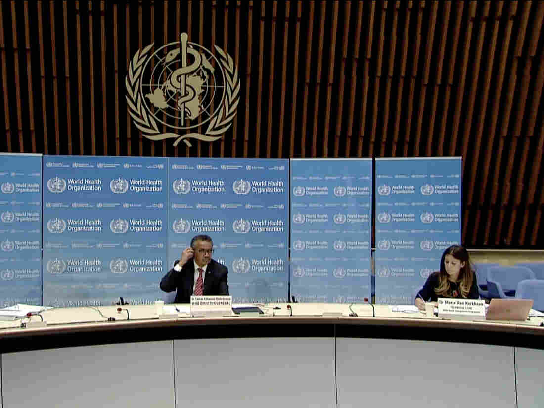 World Health Organization Health Emergencies Programme Director Michael Ryan, WHO Director-General Tedros Adhanom Ghebreyesus and WHO Technical Lead Maria Van Kerkhove attending a WHO virtual news briefing on COVID-19. (Photo by -/AFP via Getty Images)