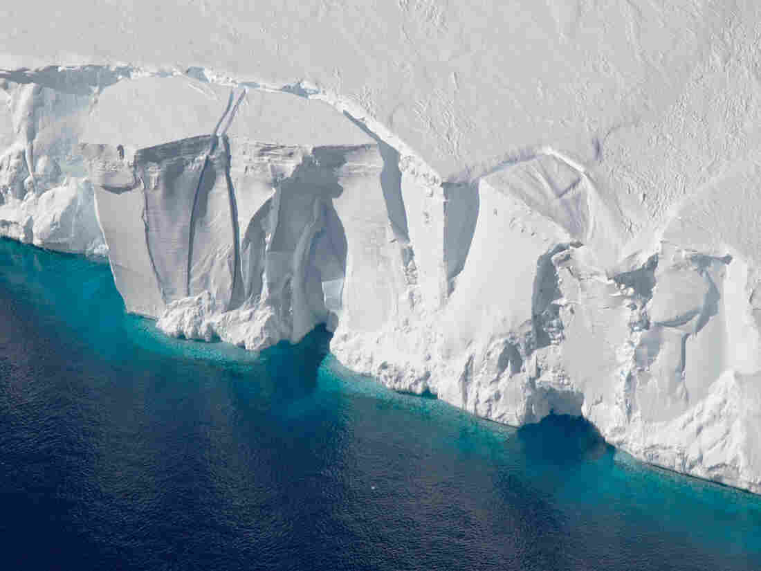 NASA Satellite Details How Fast Polar Ice Is Melting And Raising Sea Levels - NPR