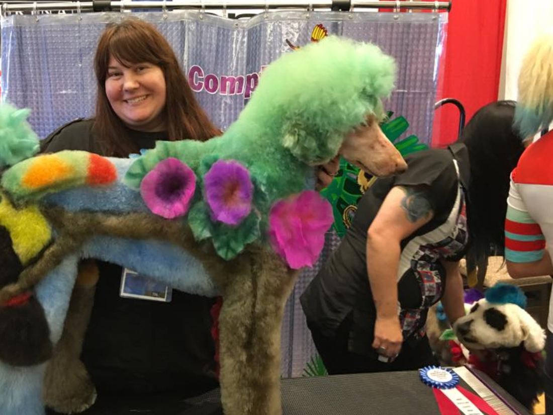 Deb Compton is a dog groomer at Pet Supplies Plus in Madison, Wisconsin.