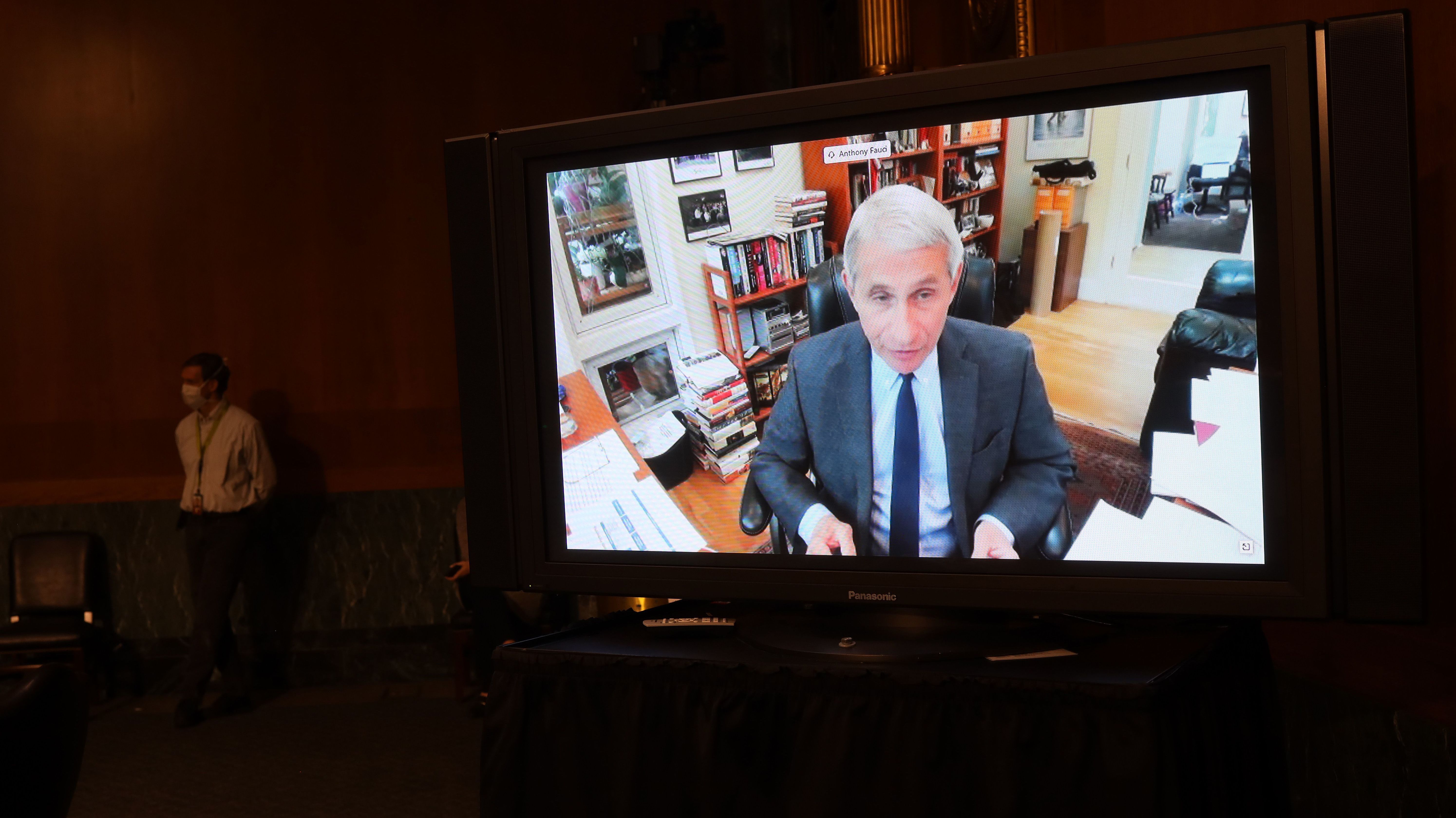 Dr. Anthony Fauci, director of the National Institute of Allergy and Infectious Diseases, speaks remotely Tuesday during a Senate Health, Education, Labor and Pensions Committee hearing on the coronavirus. (Pool/AFP via Getty Images)