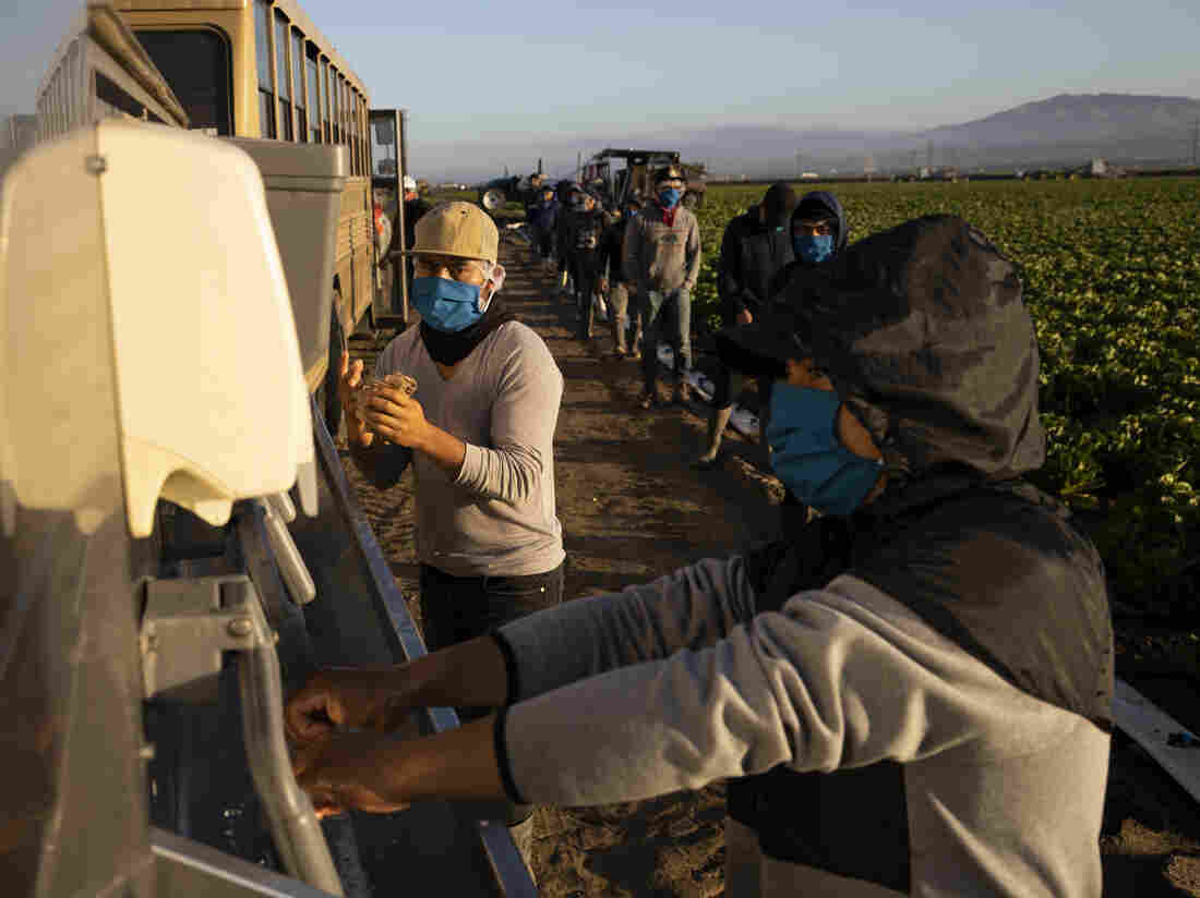 GREENFIELD, CA - APRIL 28: Farm laborers with Fresh Harvest wash their hands before work.(Photo by Brent Stirton/Getty Images)