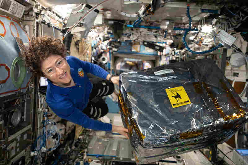 NASA astronaut and Expedition 61 Flight Engineer Christina Koch handles science hardware stowed inside a cargo transfer bag retrieved from the SpaceX Dragon resupply ship in December 2019.
