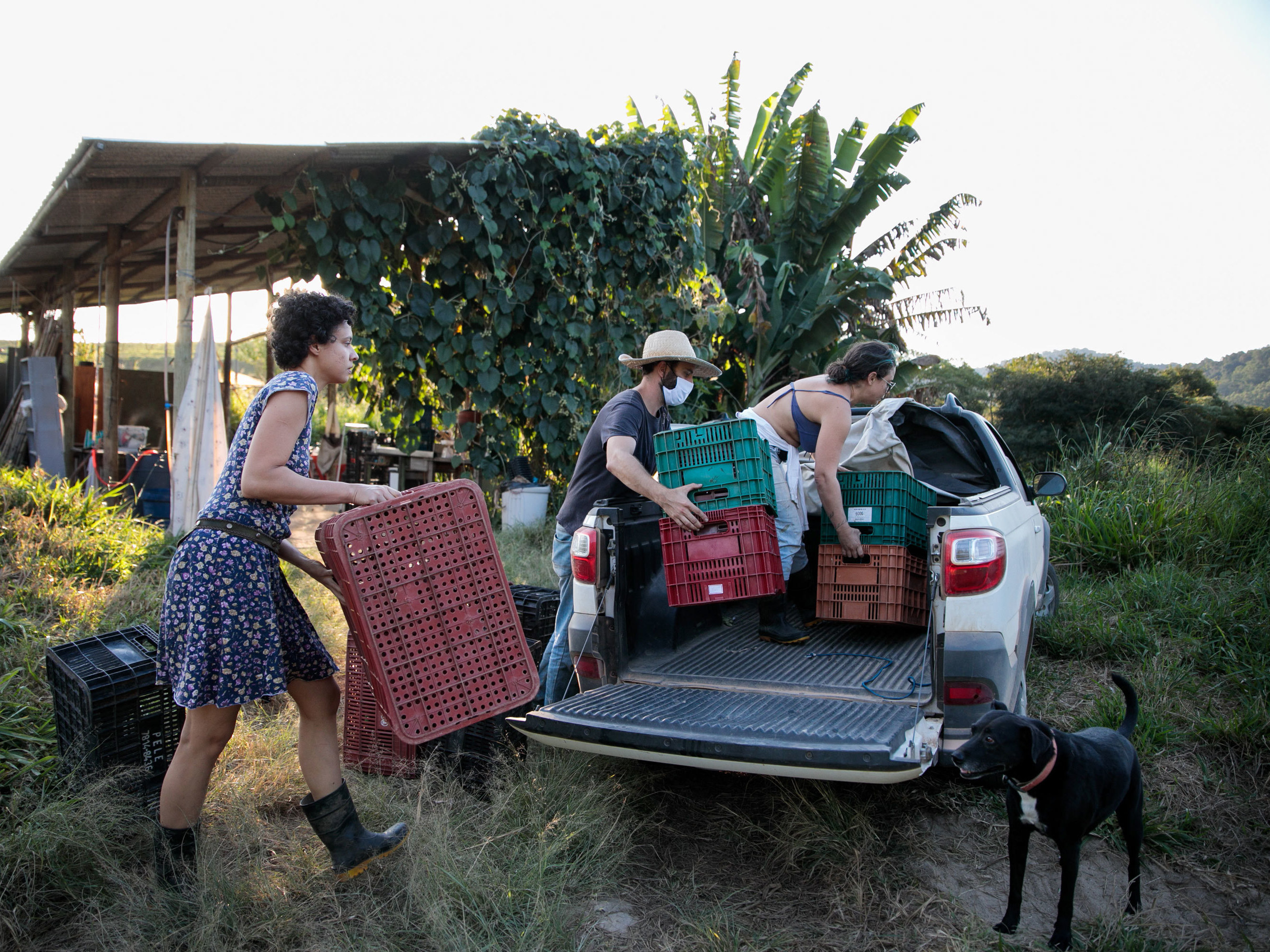 PHOTOS: Brazilian Farmers Hatch A Plan To Send Healthy Food To The Favelas