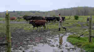 USDA Secretary Says Despite Plant Closures, He Does Not Anticipate Food Shortages