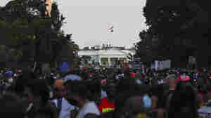 Trump's Response To Coronavirus, Race Has Put Him In A Hole For Reelection 