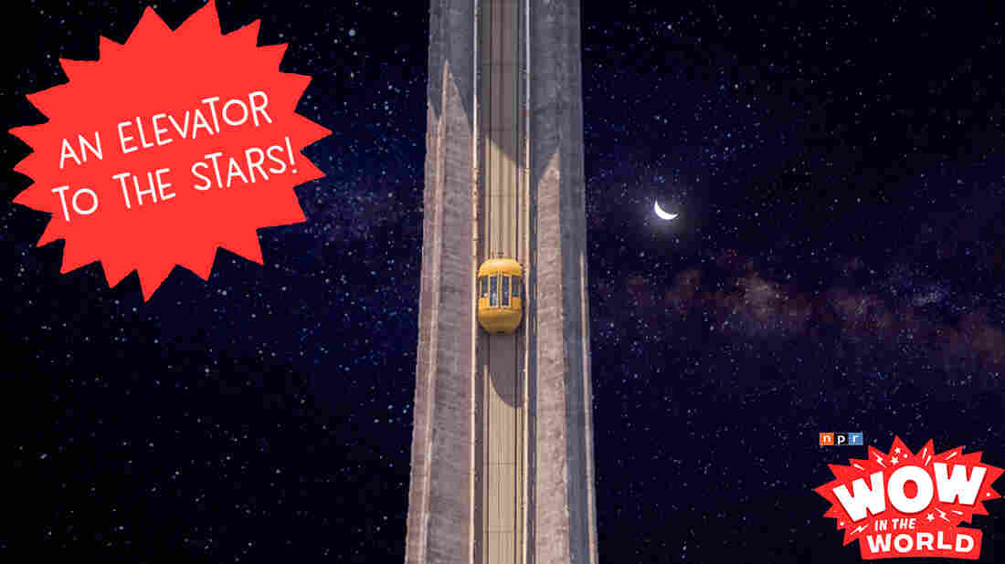 Guy Raz is off to listen to the latest and greatest in world of elevator music and Mindy tags along for the ride! But this music isn't just for any elevator. Oh no! This elevator is going from here ... to the stars! Join Mindy and Guy Raz as they explore the who, what, when, where, why and wow in the world of Space Elevators! Originally aired 12-17-2018