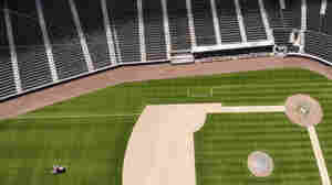 With Season Still In Jeopardy, Fauci Says MLB Should Finish Before Fall