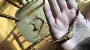 The Problem Of The Root