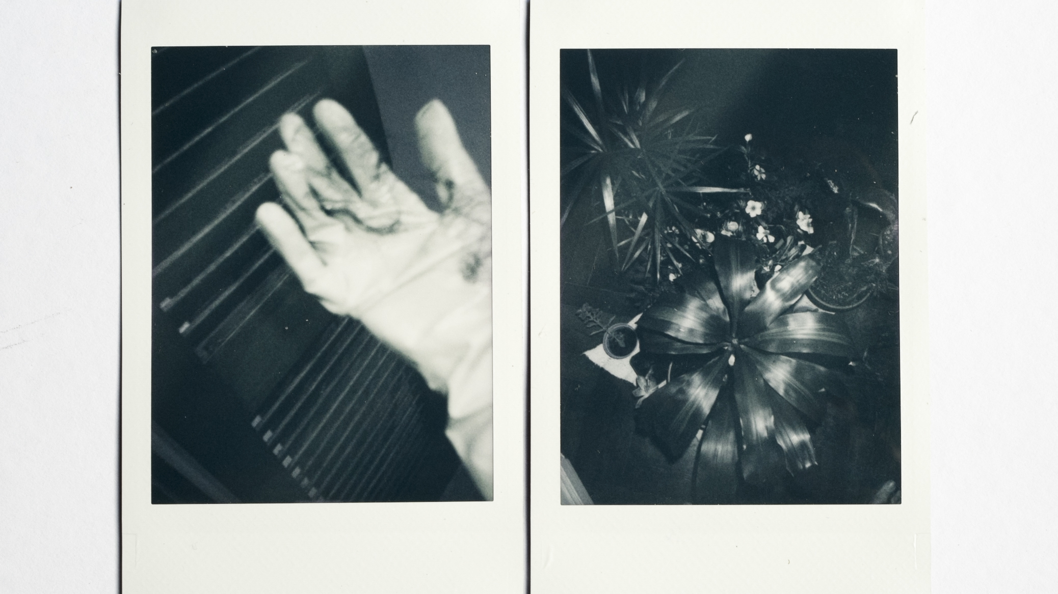 (Left) During the coronavirus pandemic, cleaning has become more intense and important. Gloves used for cleaning photographer Celeste Alonso