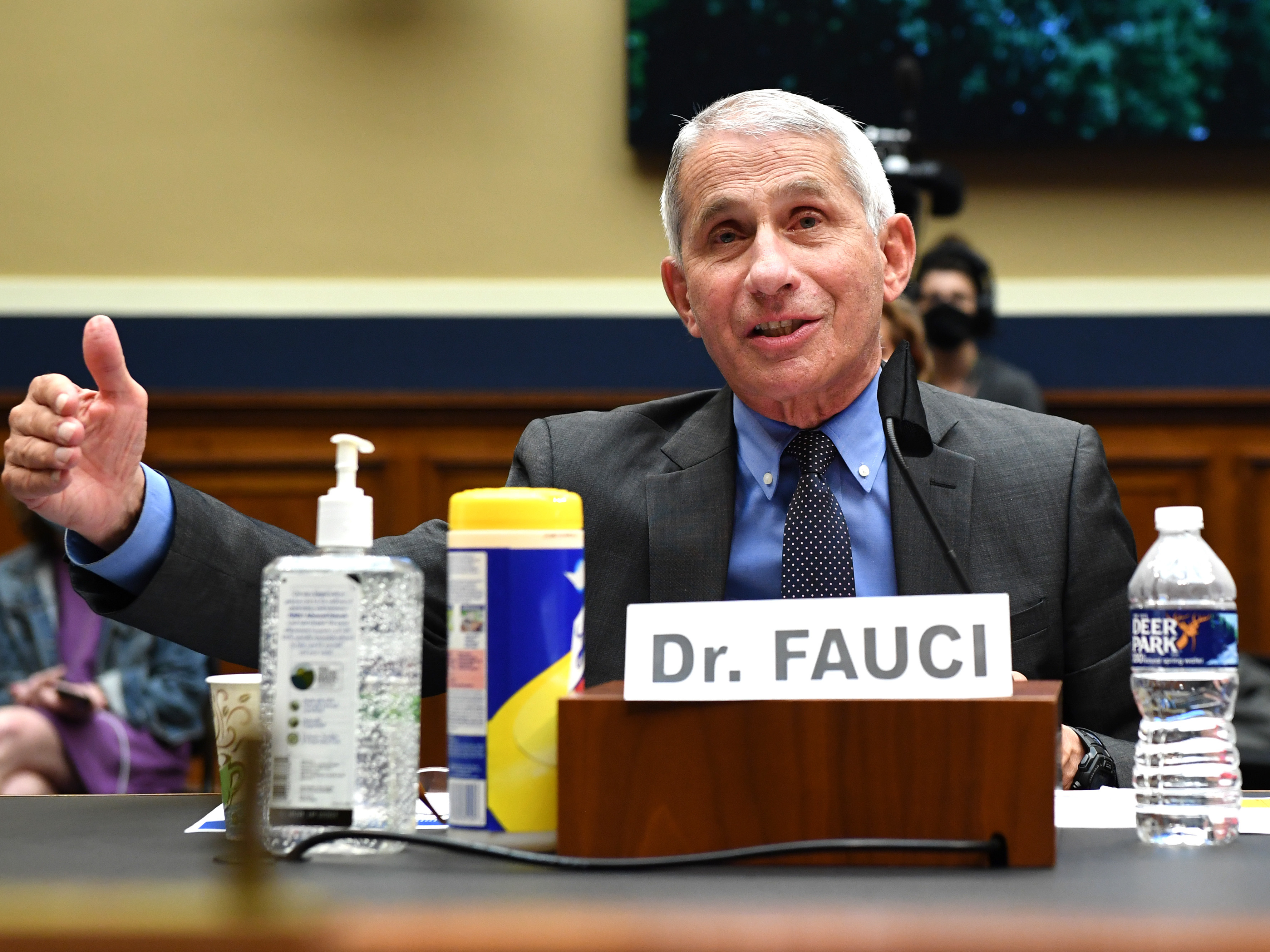 Dr. Anthony Fauci, director of the National Institute of Allergy and Infectious Diseases, testifies Tuesday during a House Energy and Commerce Committee hearing on the Trump administration's response to the COVID-19 pandemic. (AFP via Getty Images)