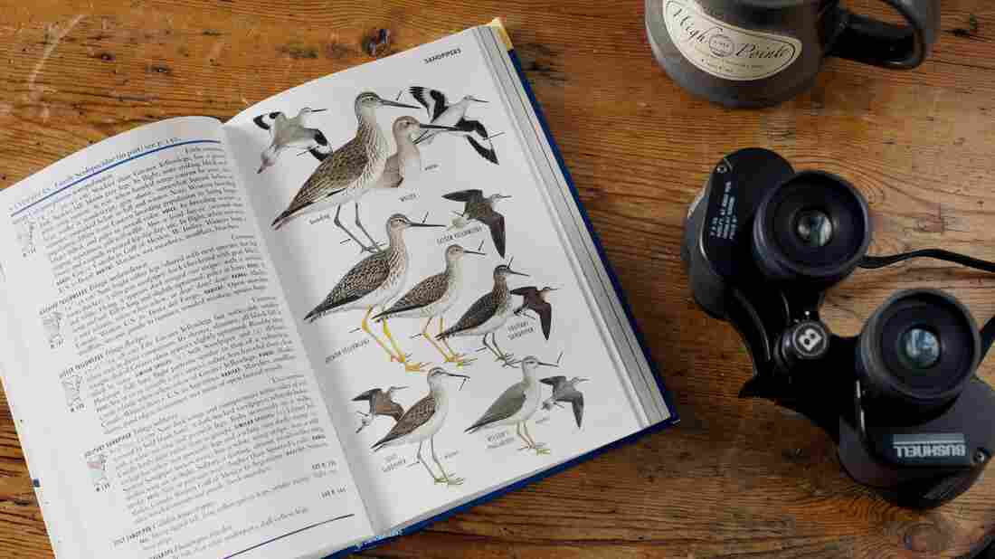 Overhead shot of binoculars and bird guide, High Pointe Inn, West Barnstable, MA. (Photo by: Education Images/Universal Images Group via Getty Images)