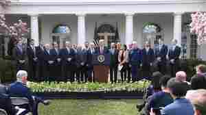 Where The Women Aren't: On Coronavirus Task Forces