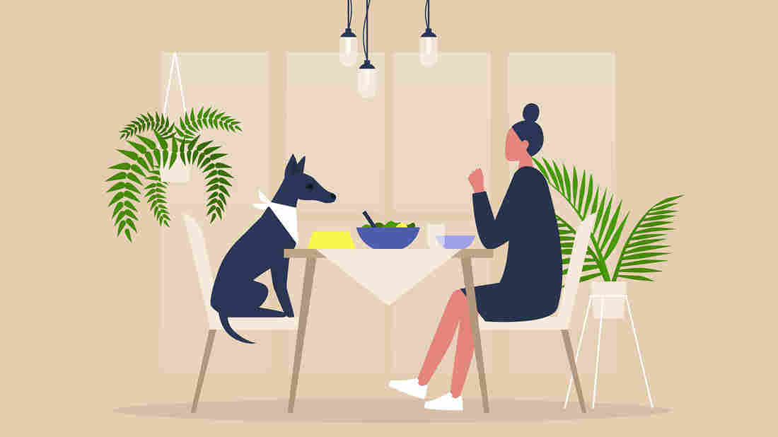 The TED Radio Hour: Meditations On Loneliness