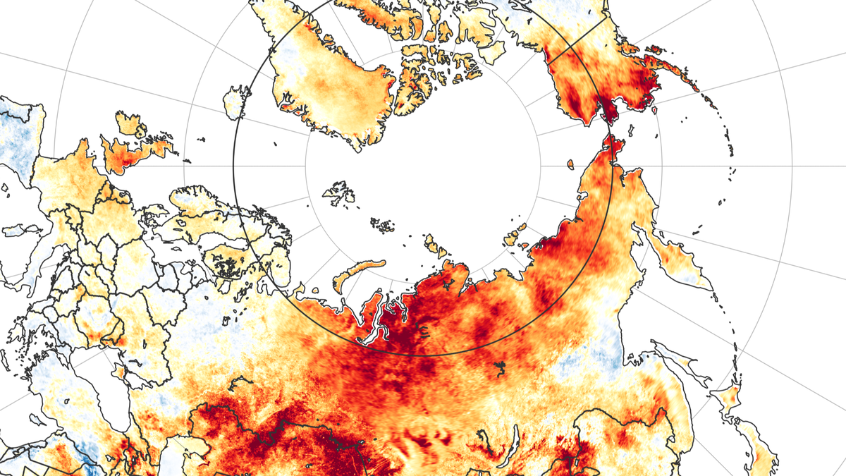 How Record Heat In Siberia Is Messing With Everything Short Wave NPR   Arctic Amo 2020172 Lrg Wide D65c41f7b2d2b7aa84c4c526c062345a58099a3a S1200 