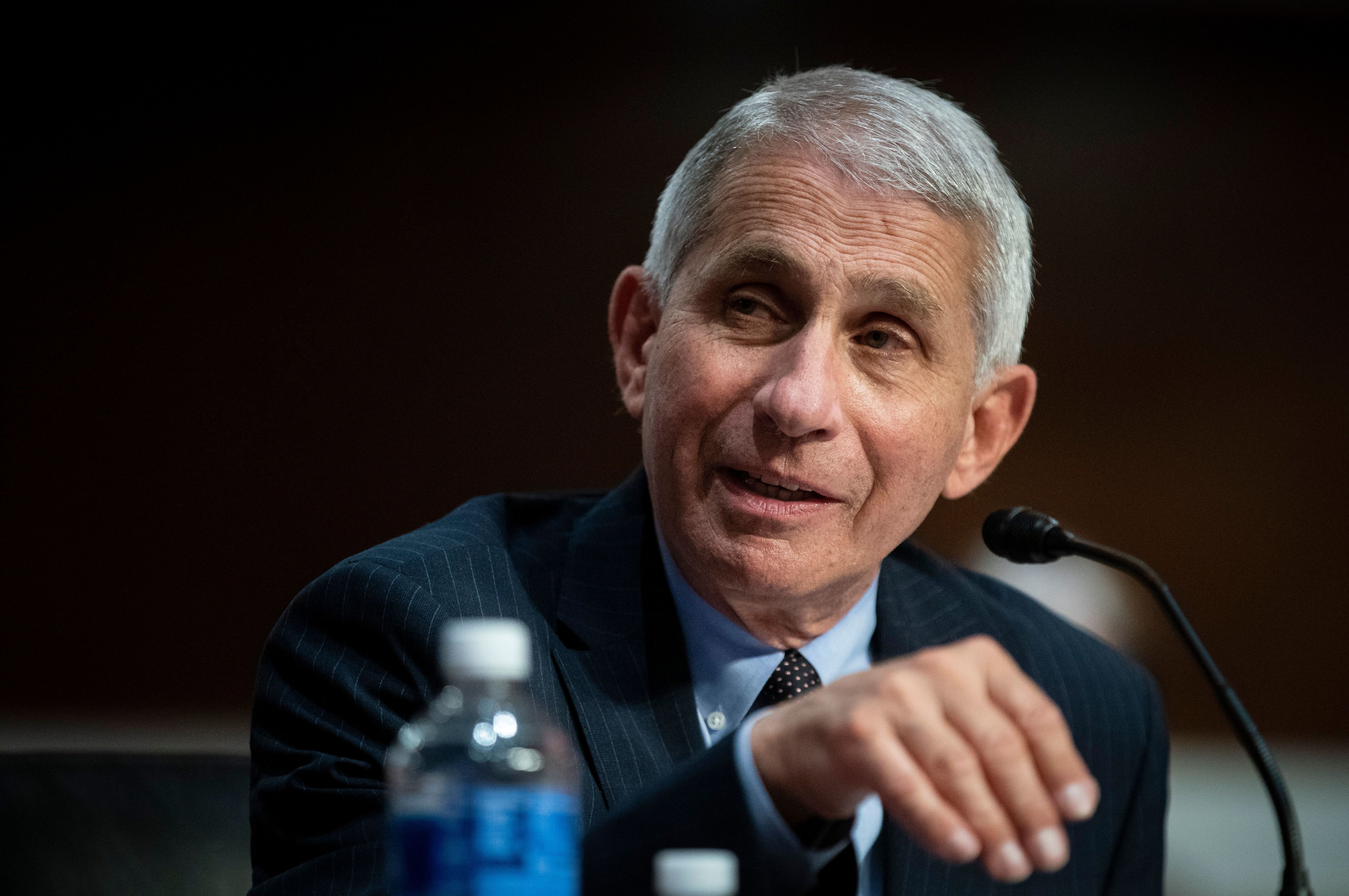 Dr. Anthony Fauci, director of the National Institute of Allergy and Infectious Diseases, has testified before Congress on the spread of the coronavirus. Reports that his relationship with President Trump had soured first surfaced in April. (AFP via Getty Images)