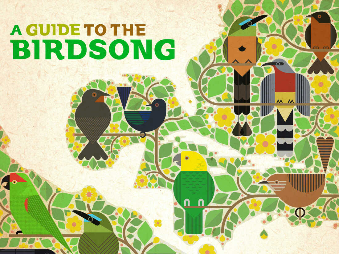 For The Birds: The Birdsong Project Features 242 Original Recordings By  Leading Artists Inspired By Birdsong