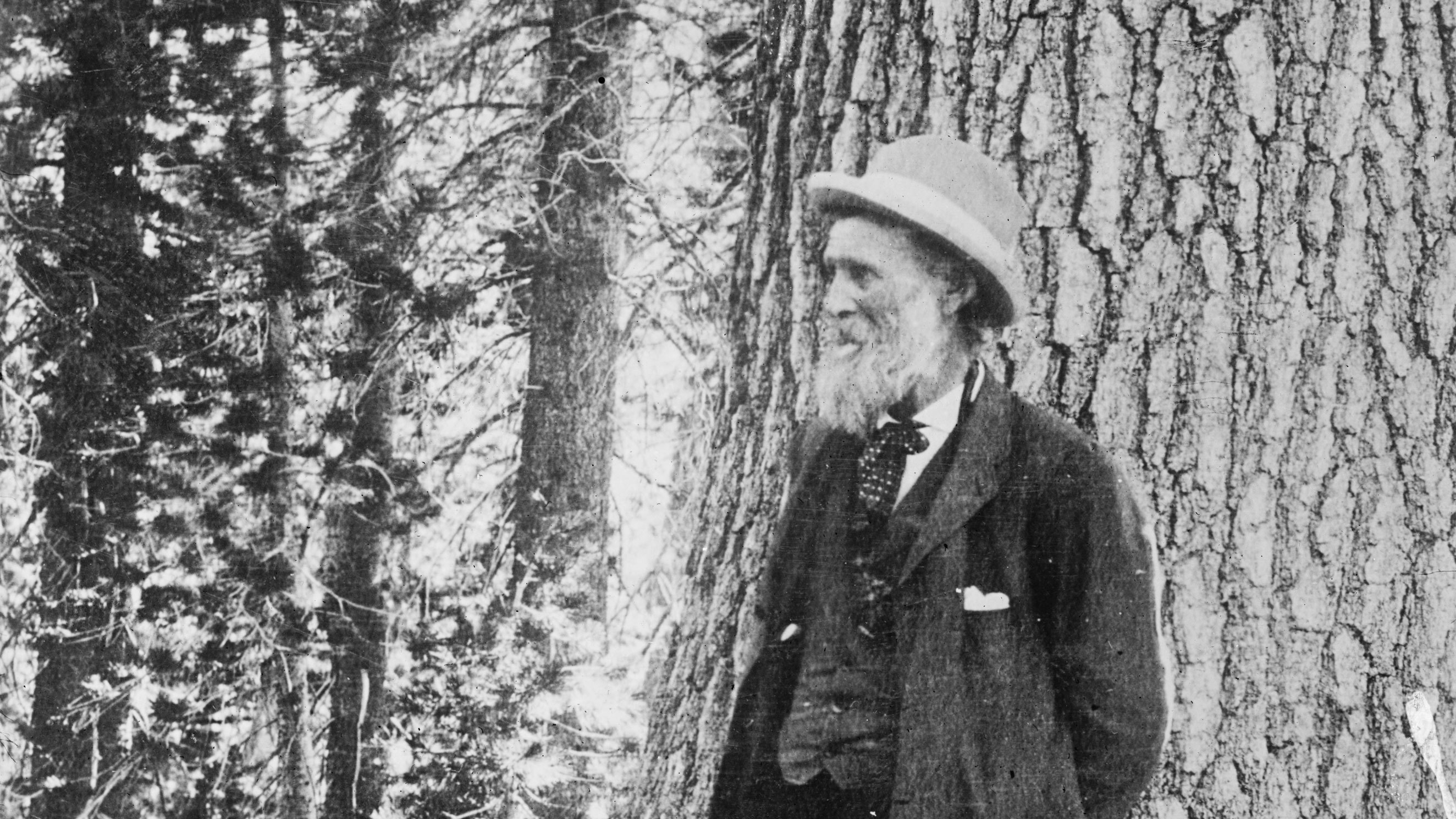 The Sierra Club said protests sparked by George Floyd