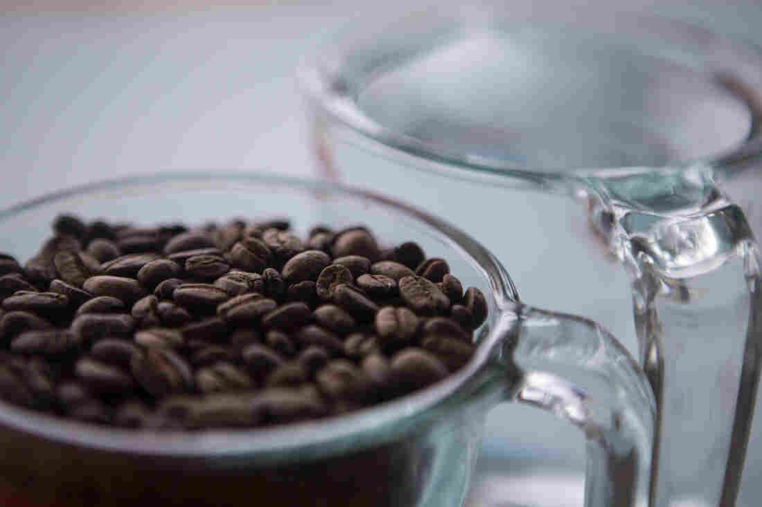 Two measuring cups — one filled with coffee beans and one filled with water — are photographed close up in front of a blue background.