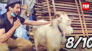 Goat Sales For Eid Were Tanking Due To The Pandemic. So Marketers Got Creative