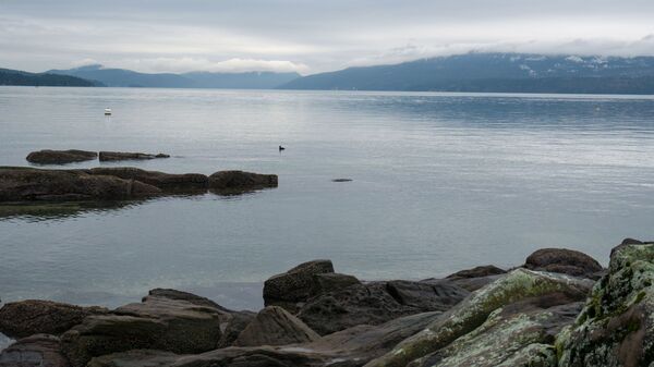 View of the waterfront from Vancouver Island, British Columbia, Canada on January 20, 2020. The number of American pleasure craft arriving from Washington state has alarmed Canadians living just across the border.