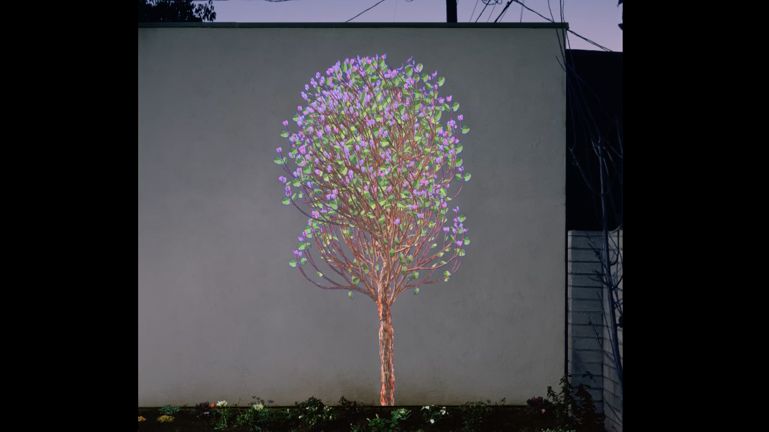 'It Lowers Your Blood Pressure': Spend A Few Moments With These Hypnotic Trees
