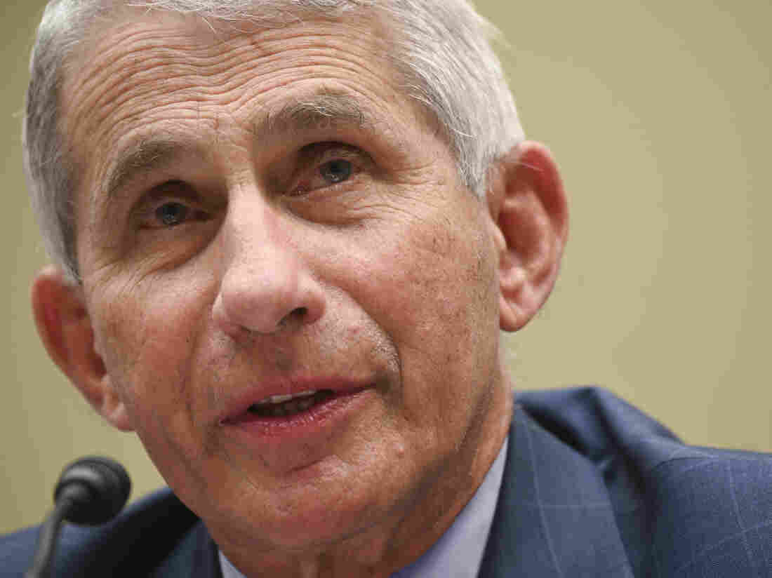 Fauci Reveals He Has Received Death Threats And His Daughters Have Been Harassed 1 ap 20213522333304 92865b0b05f75754375028b8b5171168c02586ca s1100 c15