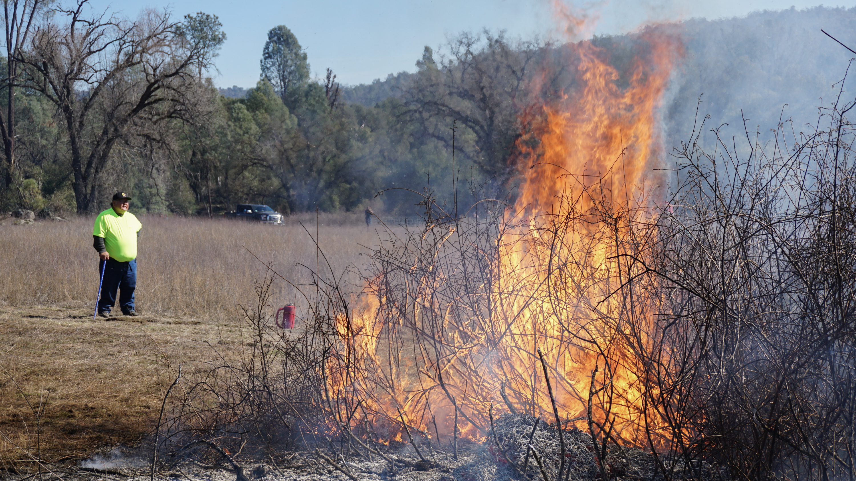 Goode looks on as sourberry bushes burn. After the bushes are burned in the winter, they sprout again in the spring. (NPR)