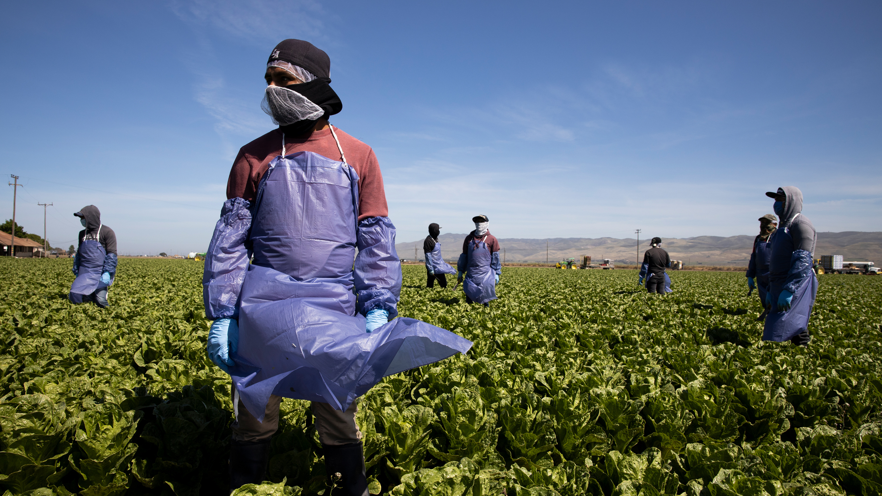 With the coronavirus spreading, farms try to keep workers like these in Greenfield, Calif. safe through physical distancing and other measures but advocates for laborers say protections are often not adequate.