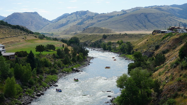 Some rafting companies outside of Yellowstone National Park are having record-breaking years despite the coronavirus pandemic. Owners are hoping it lasts.