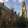 DOJ: Yale Discriminates Against Asian American and White Applicants In Admissions