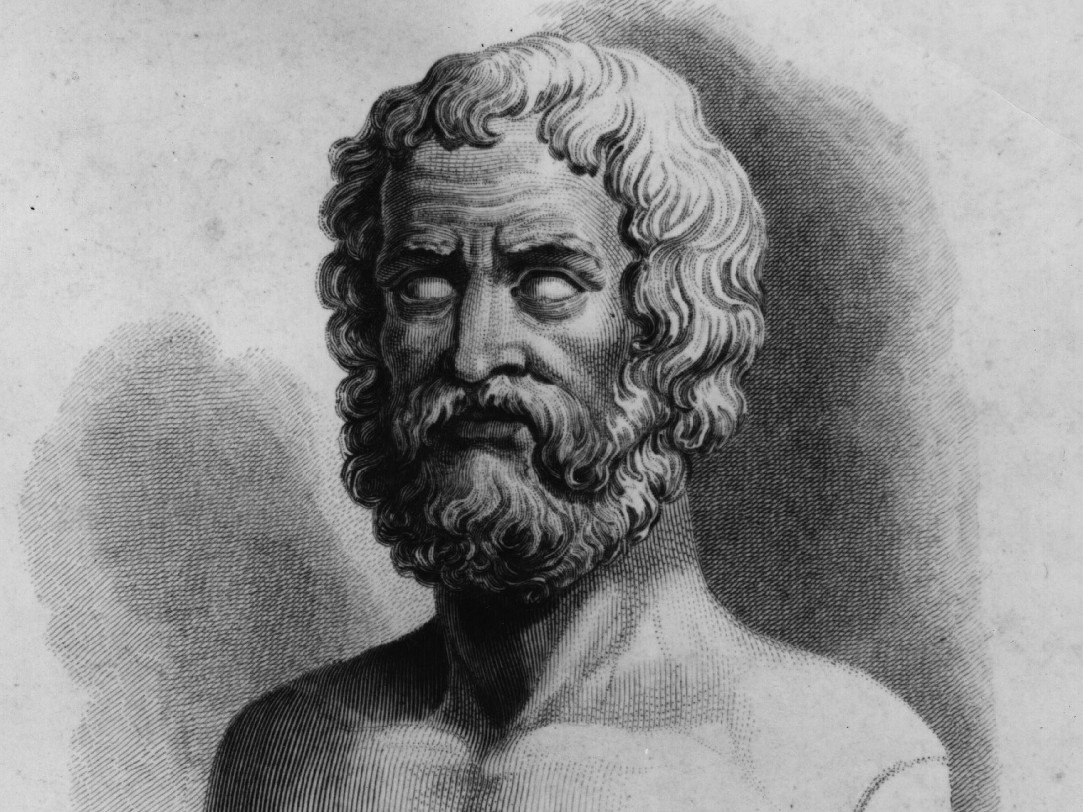 image not described image