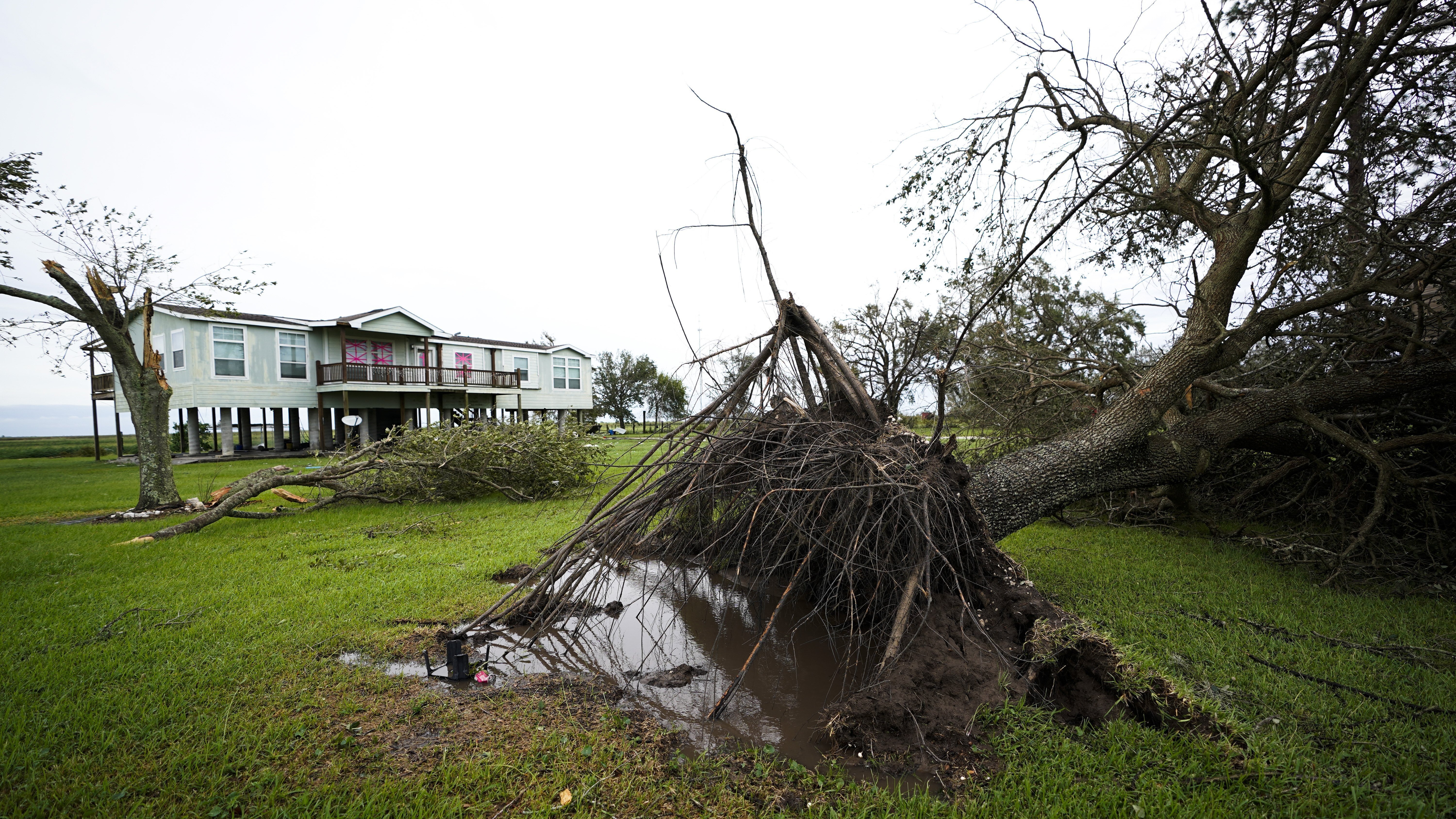 A tree is uprooted in the aftermath of Hurricane Laura Thursday in Sabine Pass, Texas.