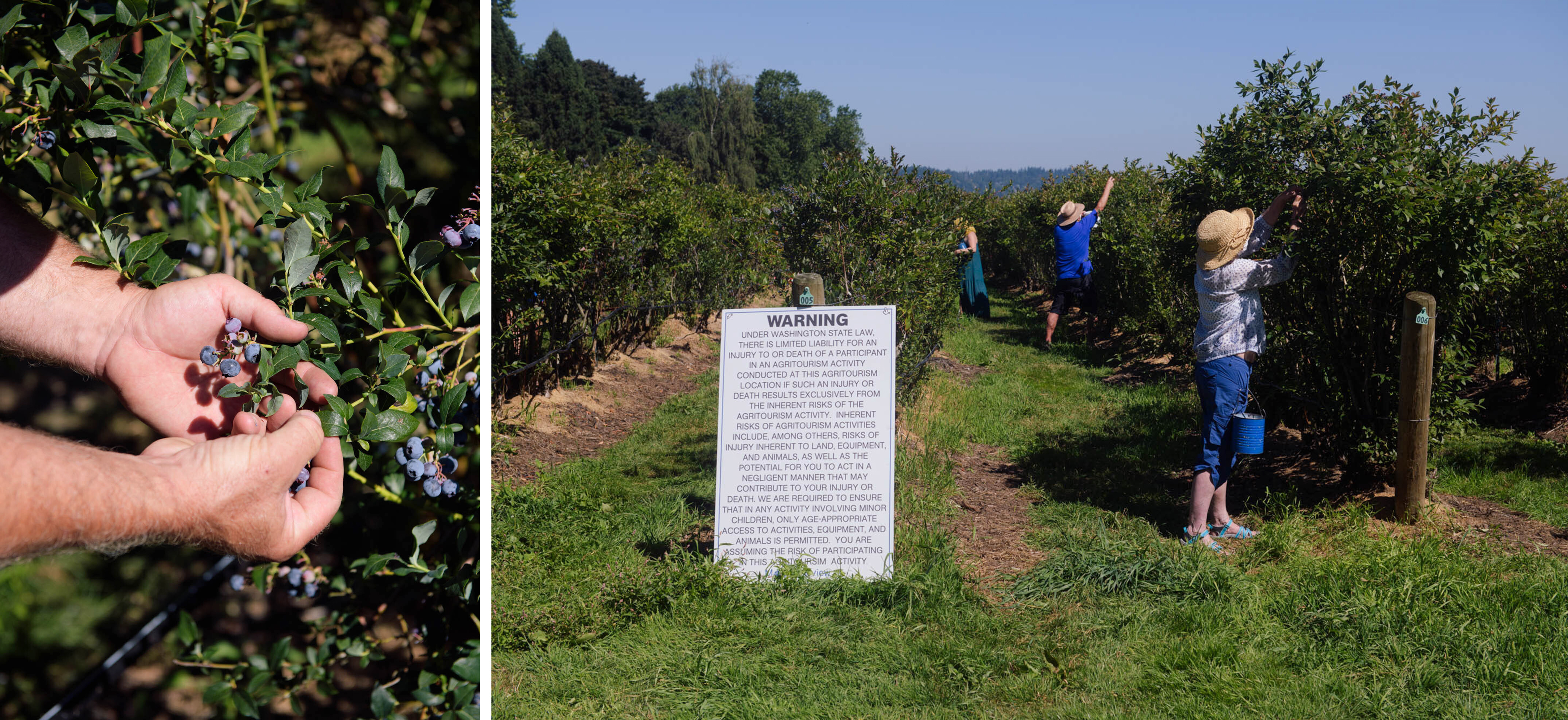 PHOTOS: A Summer Of Community, Despite Social Distance 4 berrypick custom fb233cb5f09f4ad8b377acdf9d687cafc241401b
