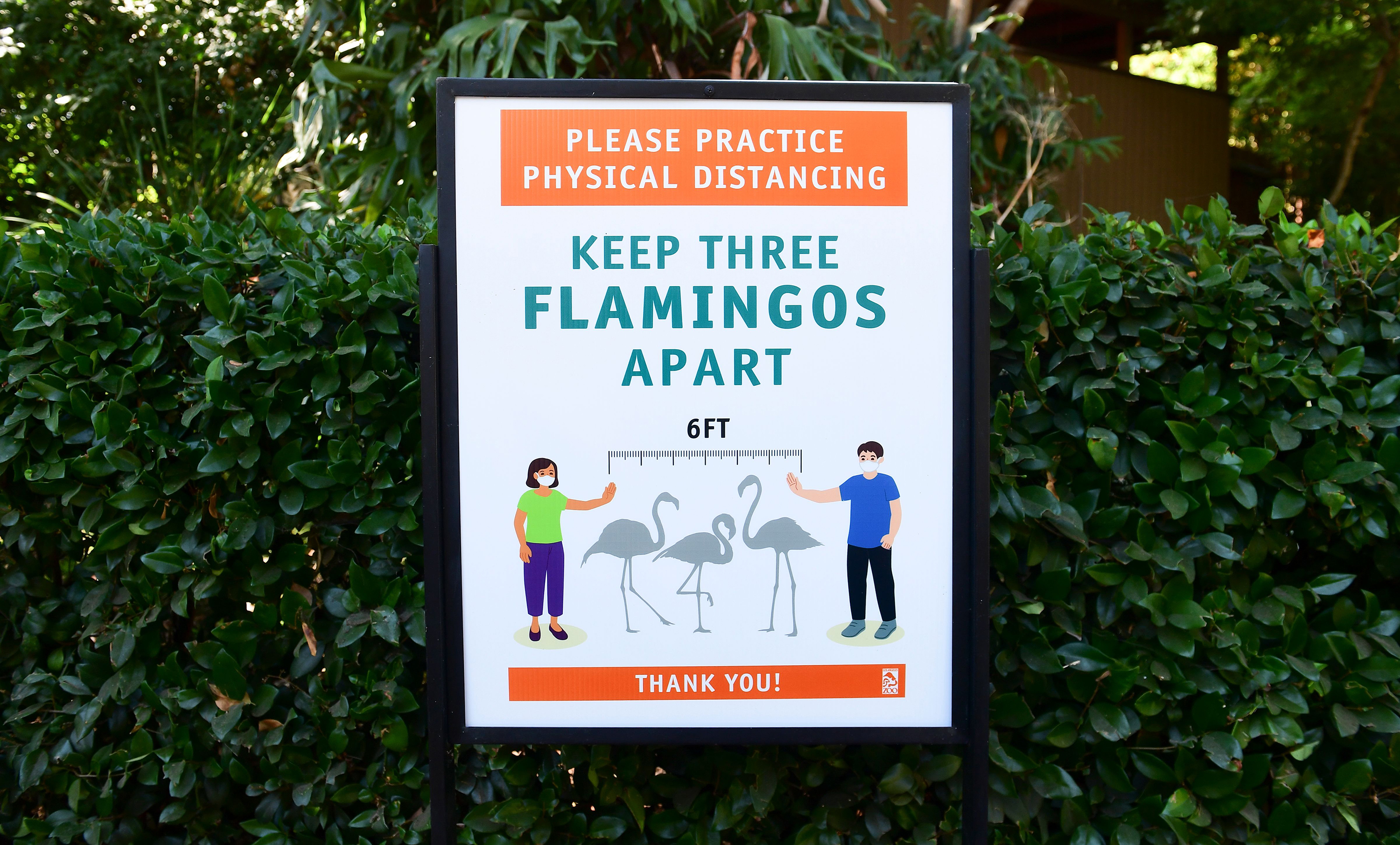 PHOTOS: A Summer Of Community, Despite Social Distance 7 Some businesses, including the Los Angeles Zoo, found creative ways to put "6 feet" into context for visitors.
