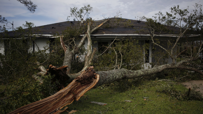 Environment : NPR