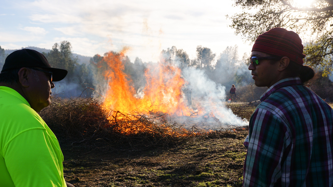 Native American Burning And California's Wildfire Strategy Short Wave