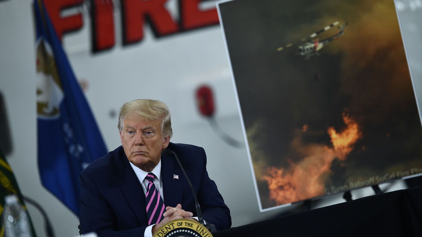 'I Don't Think Science Knows': Visiting Fires, Trump Denies Climate Change